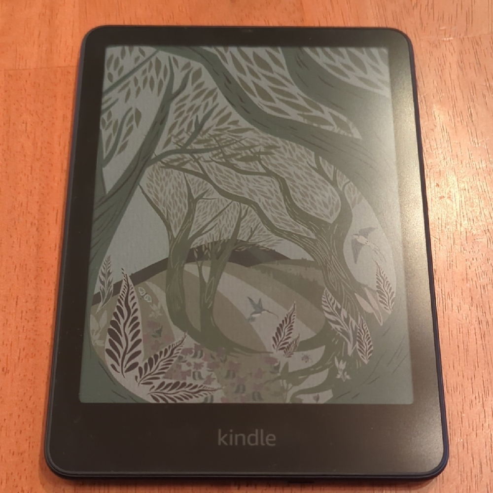 Kindle Colorsoft Black 32gb